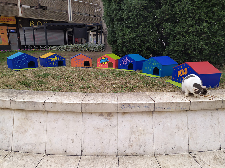 HNK postavio kućice za mace na poljani ispred kazališta
