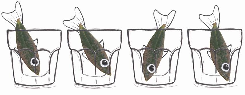 Judina Peškarija Party i Judin experiment