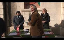 HDZ na referendumu ZA, Zeleni Dalmacije PROTIV