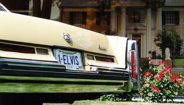 Komadići Gracelanda na izložbi u Splitu