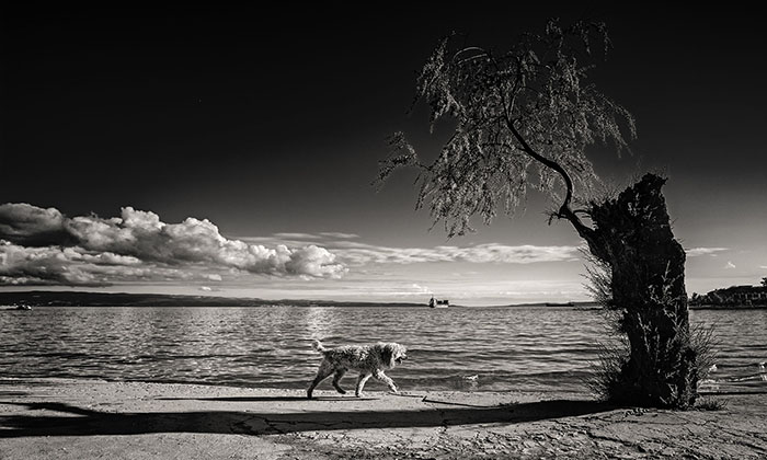 Andrija Vrcan izlaže u Fotoklubu Split