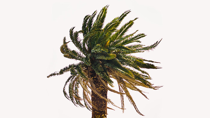 Leut Magnetik objavio spot za singl “Celuloza”