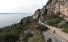 U Merjan su drače…