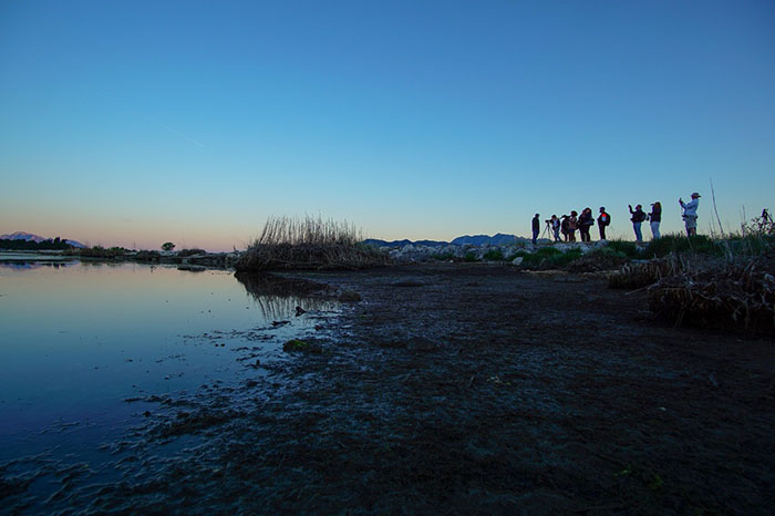 Pridružite se treningu prepoznavanja ptica na Neretvi 2023.