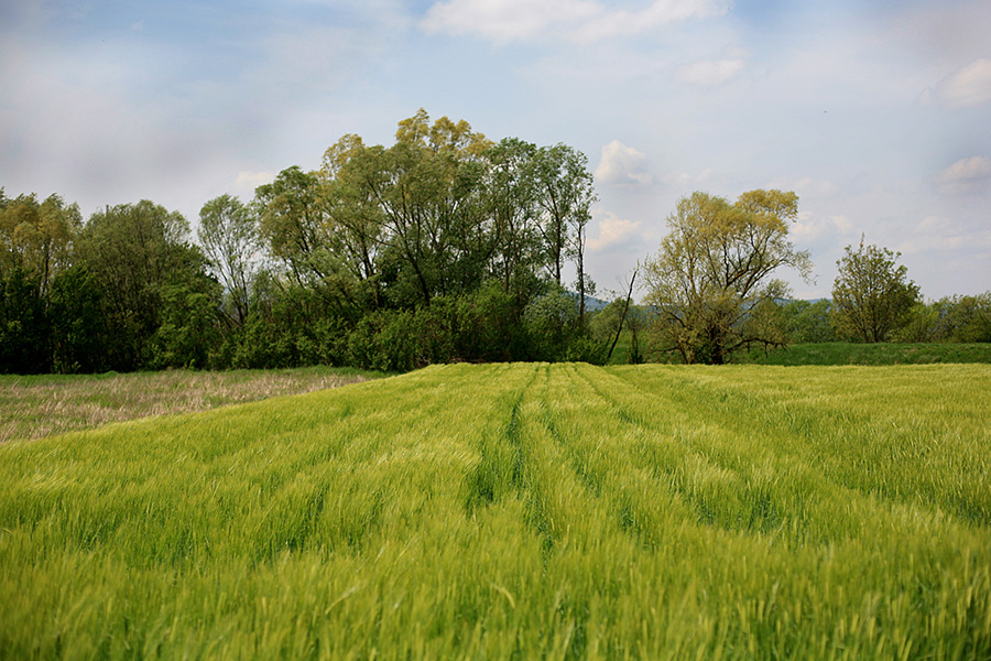 Otvaranje izložbe “Još samo da…”  maturantica i maturanata Škole likovnih umjetnosti Split