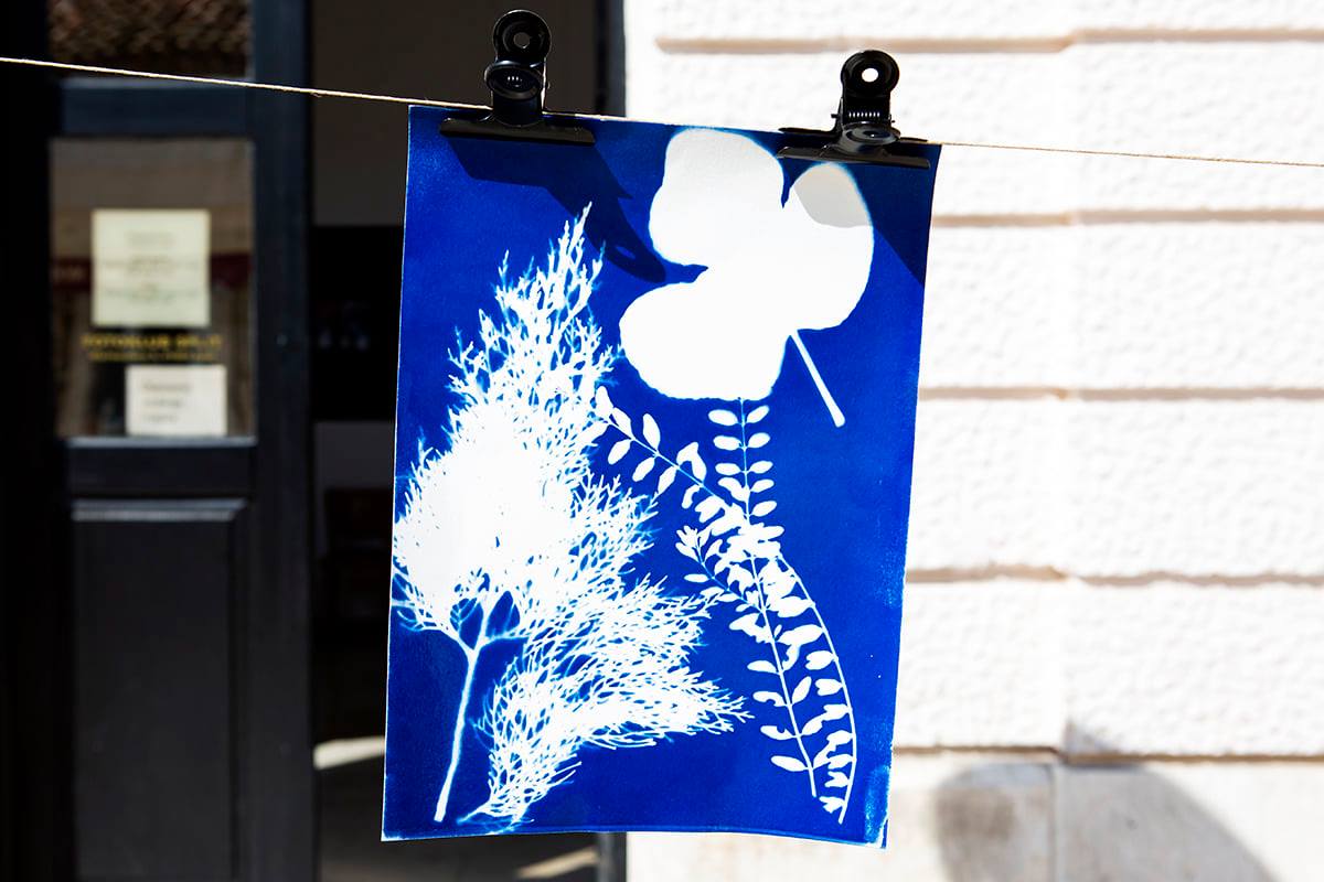 Otvorene prijave za radionicu cijanotipije u Fotoklubu Split