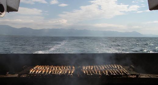 KineDok u Quasimoda – Turizam